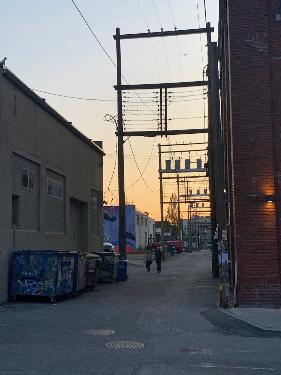 Wooden poles with crossarms carrying overhead lines through a narrow urban service alley