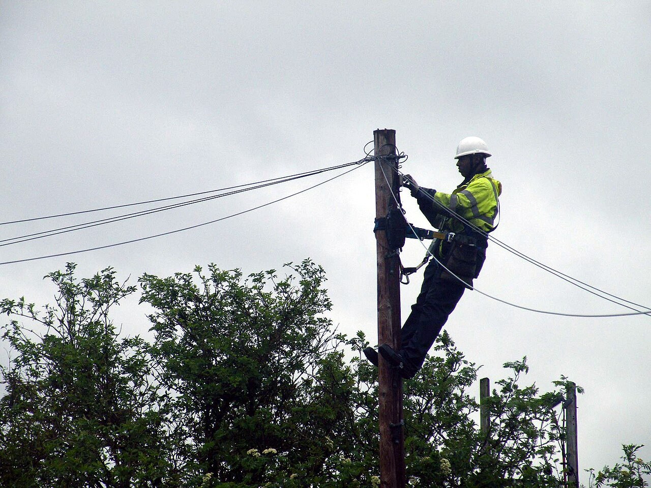 Lineworker terminating overhead cable on a wooden distribution pole