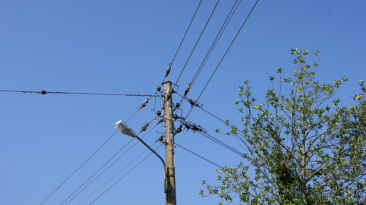 Dead-end fittings terminating overhead lines on a wooden distribution pole