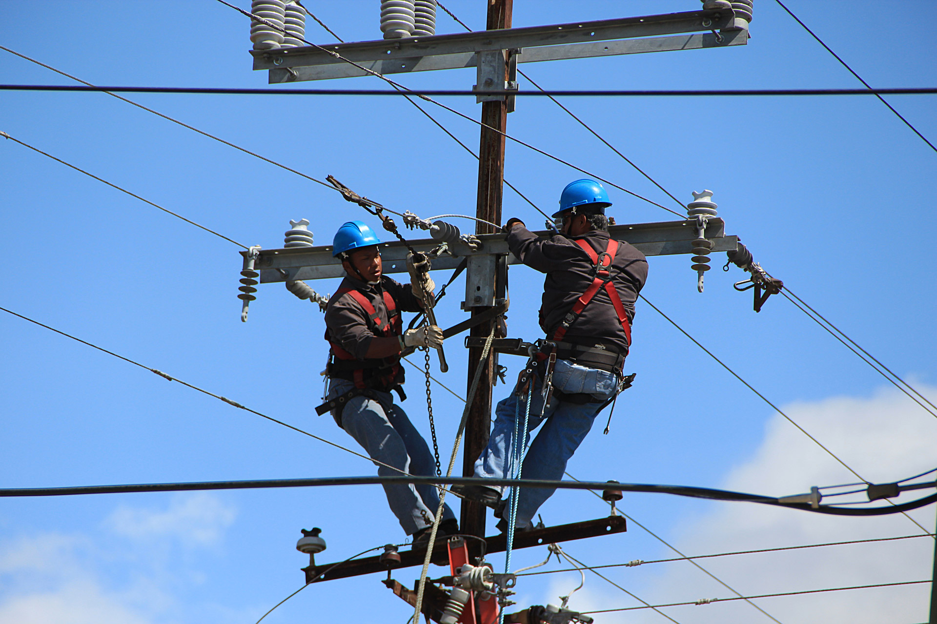 Linemen servicing bolted crossarm hardware on a wood distribution pole