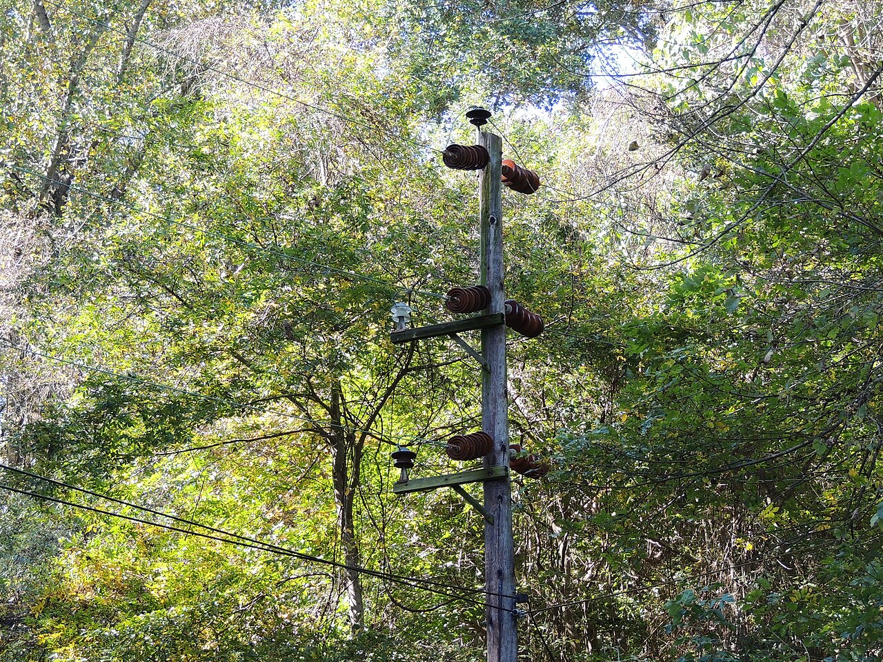 Wooden distribution pole carrying pin insulators under a cloudy sky