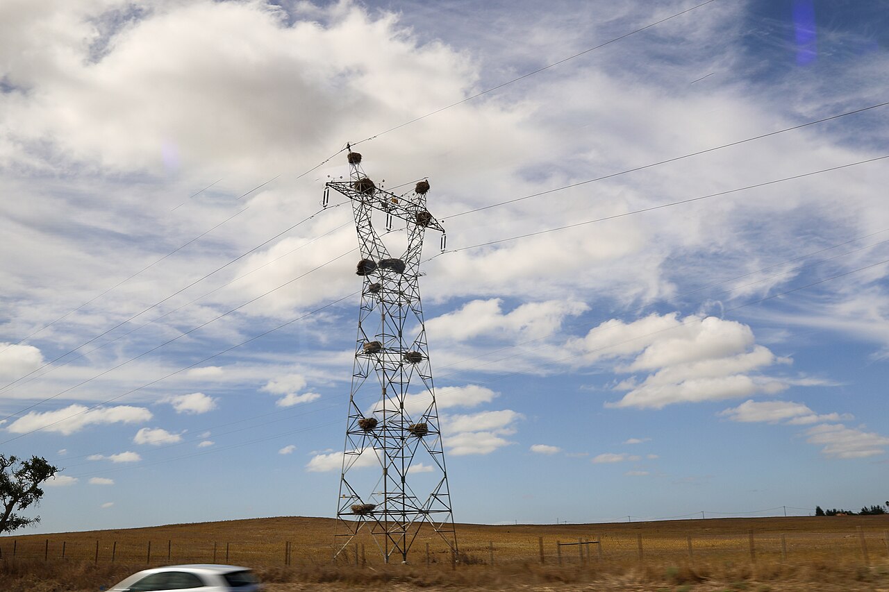 Large stork nests built across the arms of a lattice transmission tower