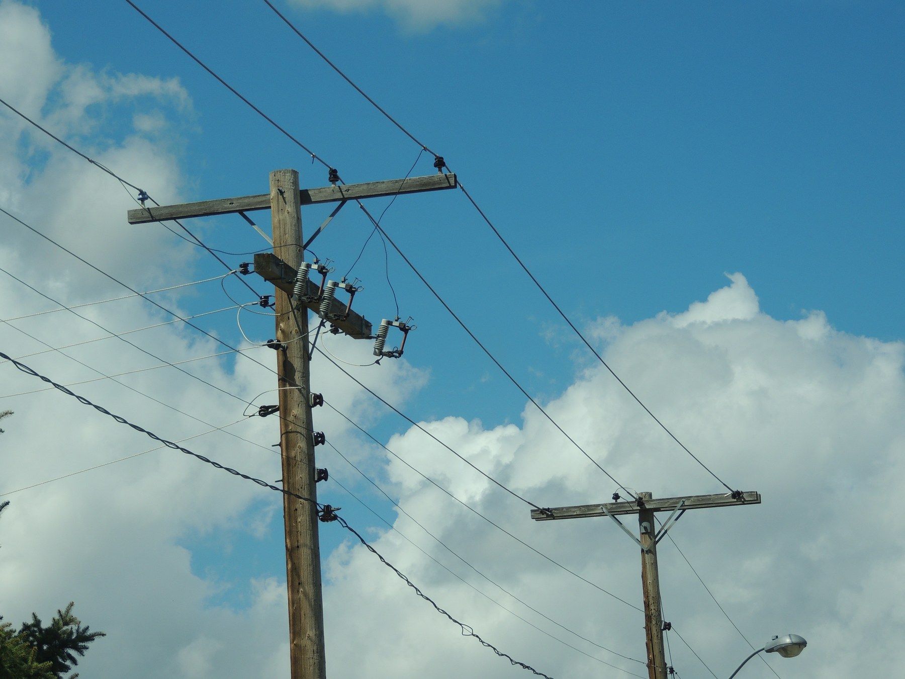 Distribution pole with crossarm and pin insulators