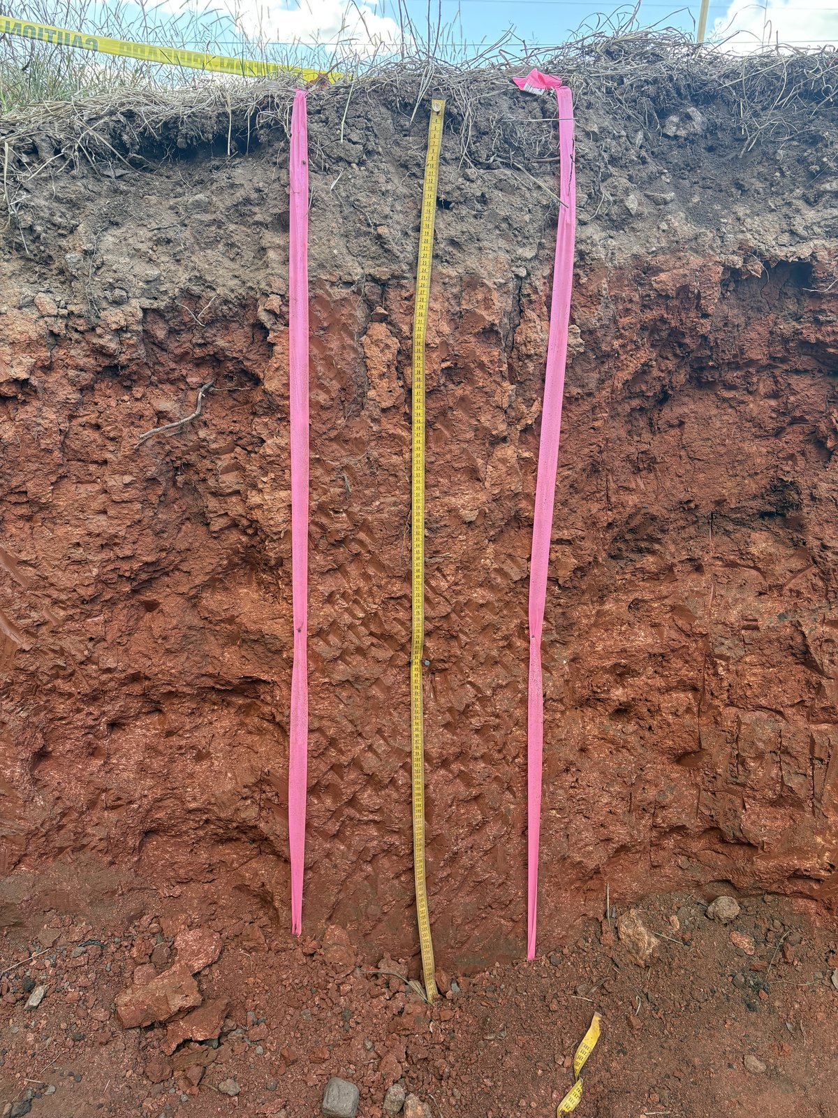 Excavated soil profile with distinct horizons for anchor soil classification