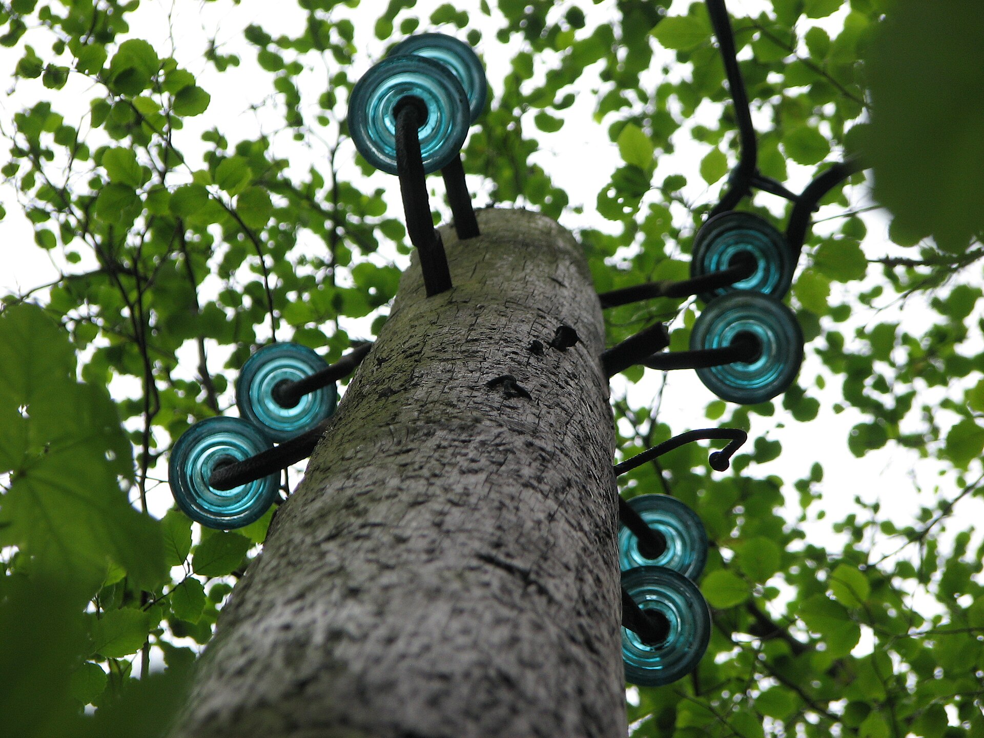 Aqua glass insulators mounted on a timber pole with steel brackets