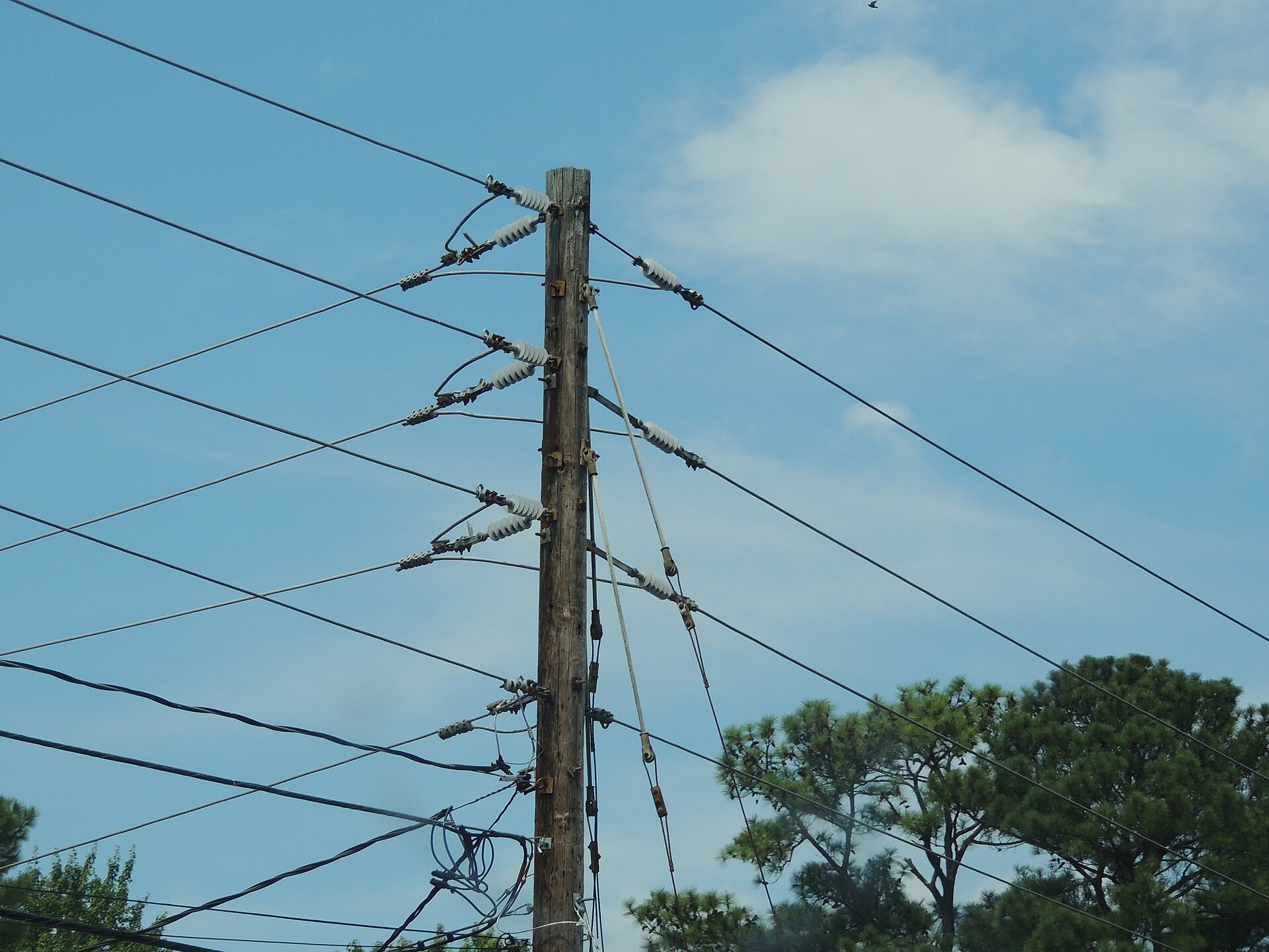 Polymer line post insulators on a 12.47 kV distribution pole