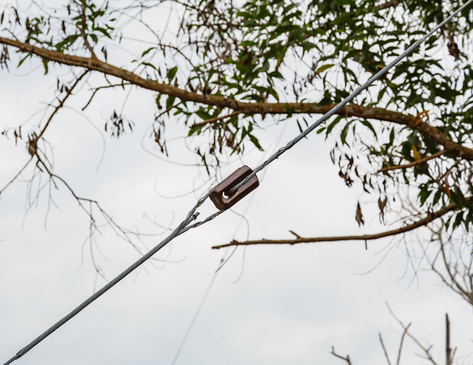 Brown porcelain stay insulator spliced into the middle of a steel guy wire against a cloudy sky