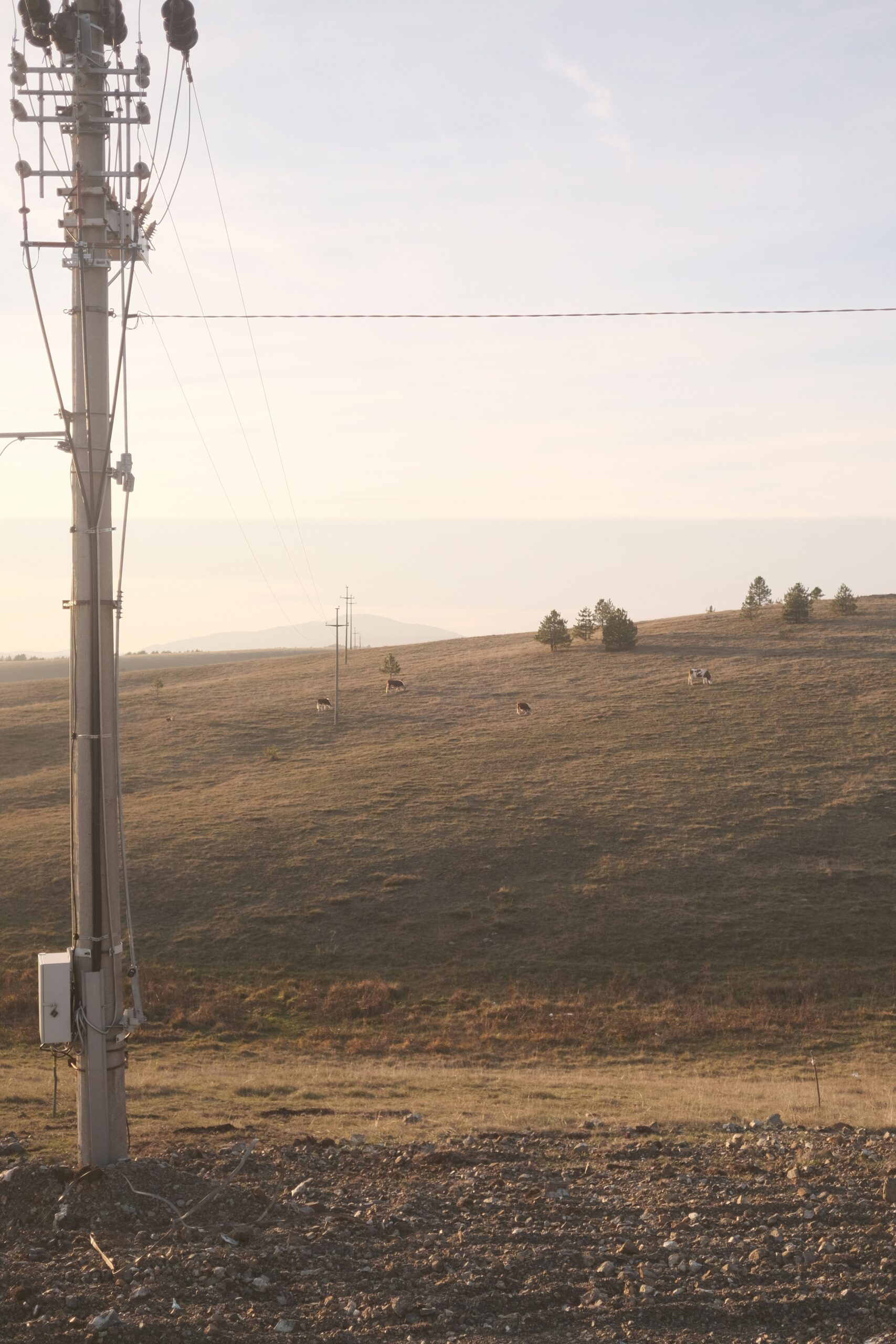 rural grid maintenance How PLPs Reduce Maintenance Labor