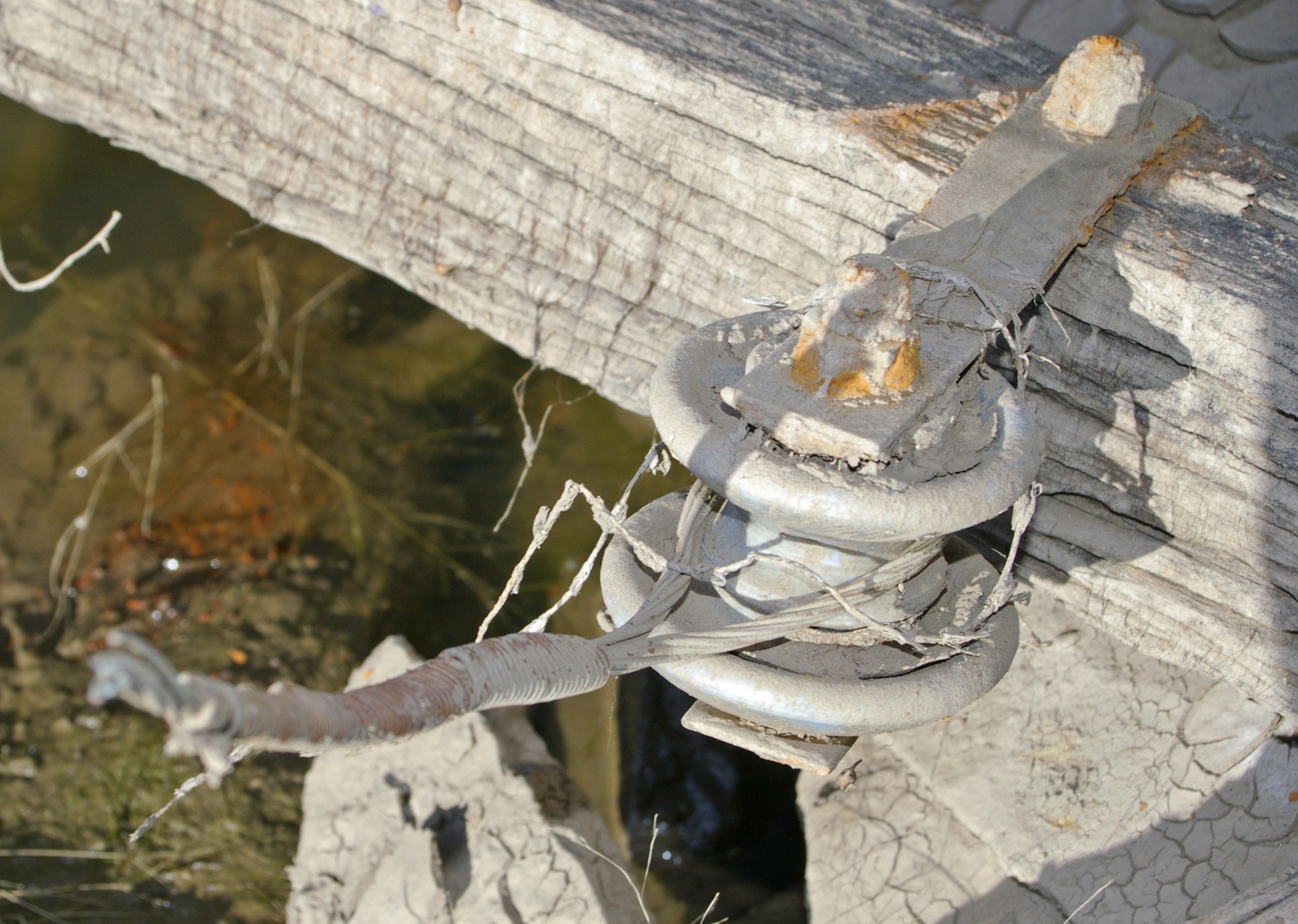 Spool insulator bolted through its center to wood