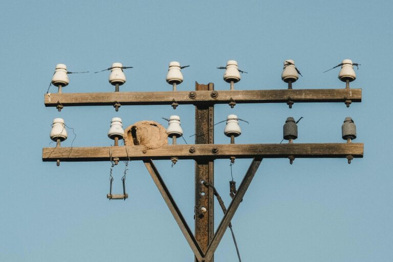 Wooden telephone pole with ceramic insulators against blue sky